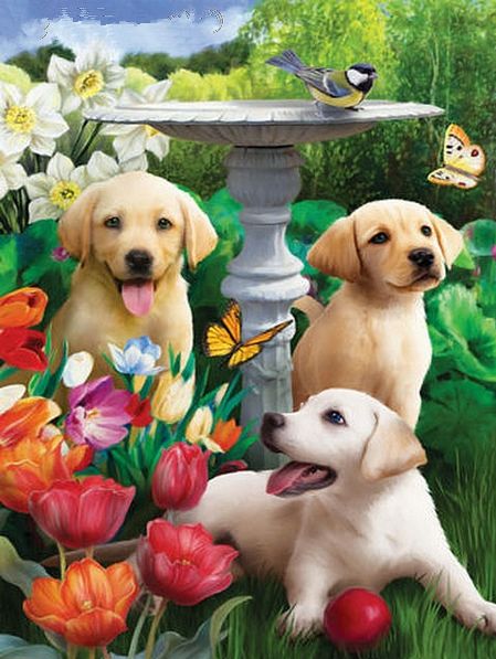 Diamond painting Honden DL4050/133
