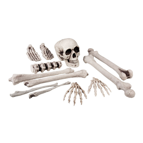 Set 12 st. doodshoofd en beenderen 72157