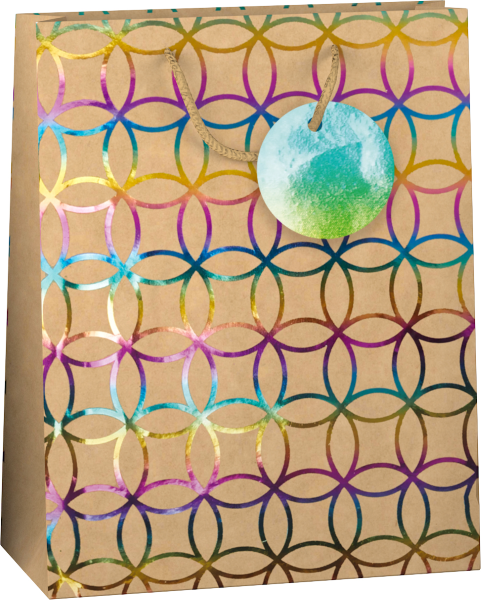 Papieren Cadeau tas L Kraft Rainbow