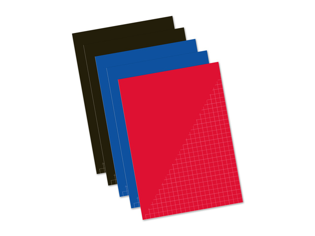 5 schriften 80 blz ruit 10mm A4 58340