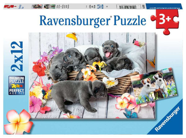 Ravensburger puzzel 2x12 stukjes 056361