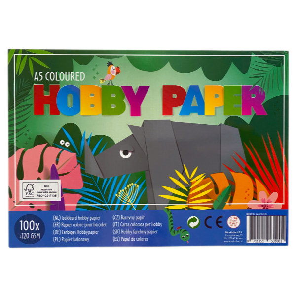 100 vel hobbykarton A5 160 gram WH